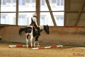 27-APHA OT_129